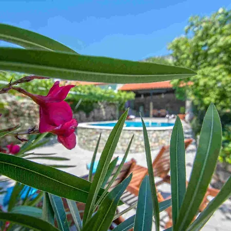 Case de vacanță In Kostelj 39300